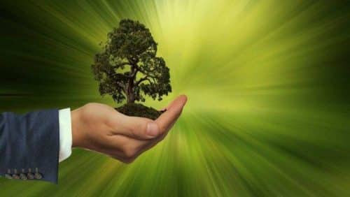 Le caratteristiche del Sustainability manager: Francesca Boccia intervistata da Interris.it Le caratteristiche del Sustainability manager: Francesca Boccia intervistata da Interris.it